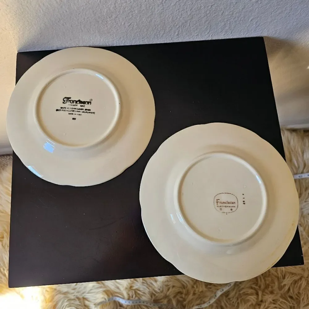 2 Vintage Franciscan Earthware Dinnerware Ceramic Hand Painted Apple Plates